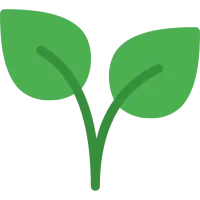 plante